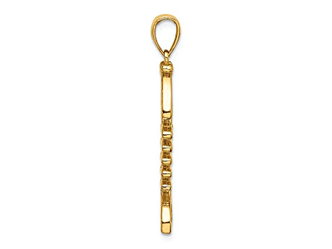 14k Yellow Gold 3D Polished and Textured Fishbone Charm