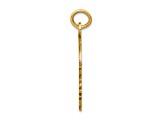 14k Yellow Gold Solid Polished and Textured Boys Head Charm Pendant
