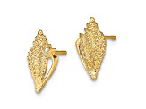 14k Yellow Gold Textured Mini Conch Shell Stud Earrings