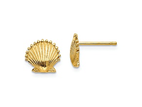 14k Yellow Gold Textured Scallop Shell Stud Earrings