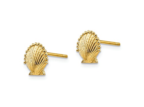 14k Yellow Gold Textured Scallop Shell Stud Earrings