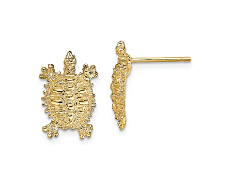 14k Yellow Gold Textured Land Turtle Stud Earrings