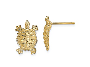 14k Yellow Gold Textured Land Turtle Stud Earrings