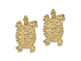14k Yellow Gold Textured Land Turtle Stud Earrings