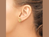 14k Yellow Gold Textured Turtle Stud Earrings