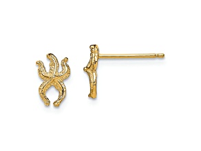 10k Yellow Gold Textured Mini Starfish Stud Earrings