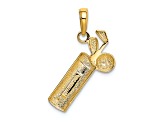 14k Yellow Gold Polished and Textured Golf Bag Charm