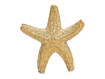 Picture of 14k Yellow Gold Textured Starfish Slide Pendant