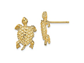 14k Yellow Gold Land Turtle Textured Stud Earrings