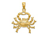 14k Yellow Gold 3D Textured Large Cancer Zodiac pendant