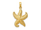 14k Yellow Gold Polished and Textured Open-Backed Starfish Pendant