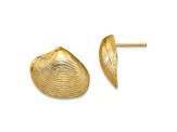 14k Yellow Gold Textured Clam Shell Stud Earrings