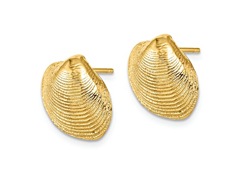 14k Yellow Gold Textured Clam Shell Stud Earrings