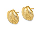 14k Yellow Gold Textured Clam Shell Stud Earrings