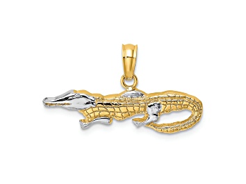 Picture of 14k Two-tone Gold 2D Textured Alligator Charm