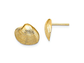 14k Yellow Gold Textured Clam Shell Stud Earrings