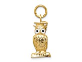 14K Yellow Gold Graduation Owl Charm with Enamel