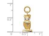 14K Yellow Gold Graduation Owl Charm with Enamel