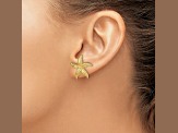 14k Yellow Gold Polished and Textured Starfish Stud Earrings