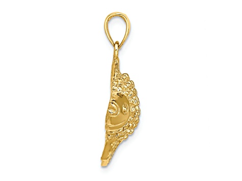 14k Yellow Gold 2D Textured Striped Fish Charm
