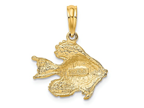 14k Yellow Gold Polished and Textured Fish Charm