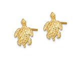 14k Yellow Gold 2D Textured Sea Turtle Stud Earrings