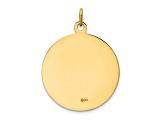 14k Yellow Gold Satin Saint Francis Medal Pendant