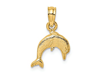 Picture of 14k Yellow Gold Textured Jumping Mini Dolphin Charm