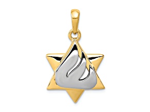14K Two-tone Gold  Star of David Pendant