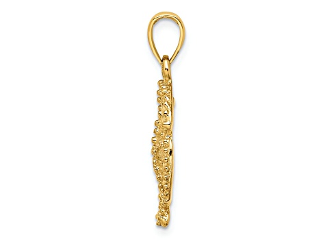 10K Yellow Gold 2D Textured Sand Dollar with Star Charm