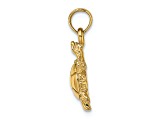 14k Yellow Gold 3D Polished and Textured Land Turtle Pendant