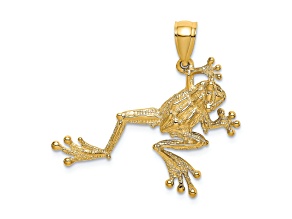 14k Yellow Gold 2D Textured Frog Charm