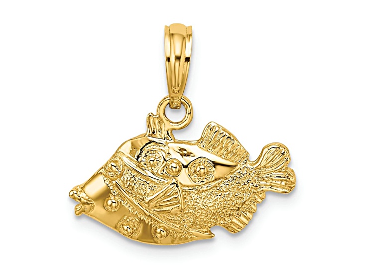 14k Yellow Gold 2D Polished and Textured Fish Charm