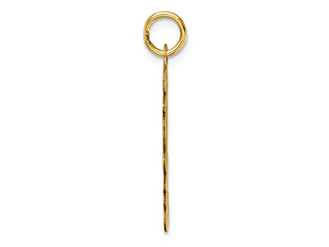 14K Yellow Gold Polished and Satin Vertical 2023 Charm