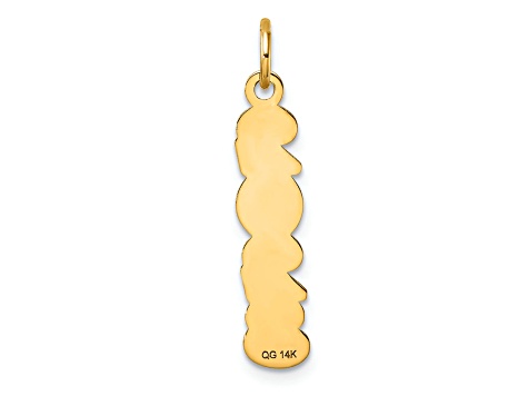 14K Yellow Gold Polished and Satin Vertical 2023 Charm