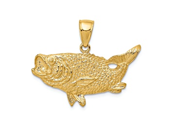 Picture of 14k Yellow Gold Polished and Textured Open-Backed Bass Fish Pendant