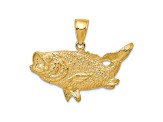 14k Yellow Gold Polished and Textured Open-Backed Bass Fish Pendant