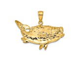 14k Yellow Gold Polished and Textured Open-Backed Bass Fish Pendant