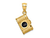 14k Yellow Gold Polished, Brushed and Textured Black Enameled Camera Pendant