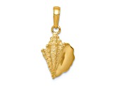 14k Yellow Gold Solid Textured Conch Shell Pendant