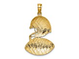 14k Yellow Gold Polished and Textured Football and Helmet Pendant