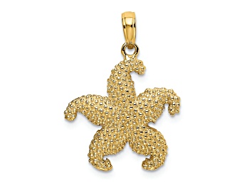Picture of 14k Yellow Gold Textured Starfish Charm