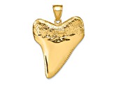 14k Yellow Gold Solid Polished and Textured 3D Shark Tooth Pendant