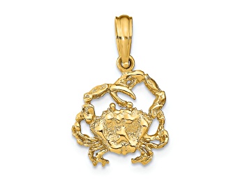 Picture of 14k Yellow Gold Textured Crab Charm