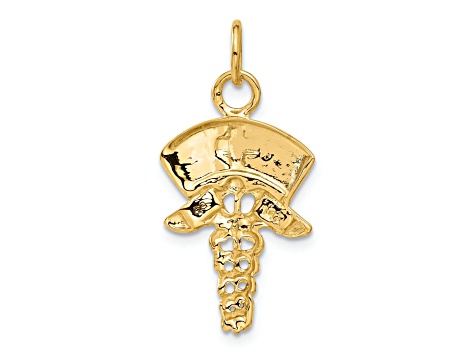 14k Yellow Gold Textured Nurse Symbol Charm Pendant