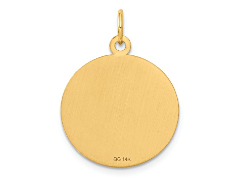 14k Yellow Gold Textured Caduceus Disc Charm Pendant