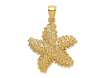 Picture of 14k Yellow Gold Textured Starfish Charm