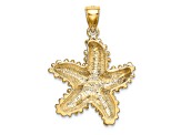 14k Yellow Gold Textured Starfish Charm