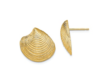 Picture of 14k Yellow Gold 2D Textured and Polished Clam Shell Stud Earrings