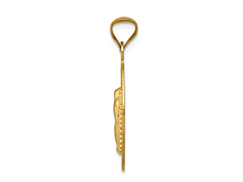 14K Yellow Gold with Rose and White Rhodium Diamond-cut Lady Of Guadalupe Oval Pendant